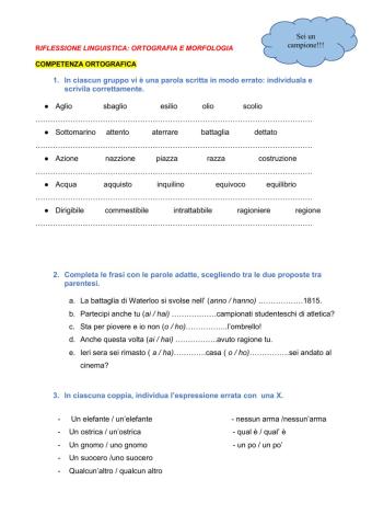 Verifica grammatica e ortografia