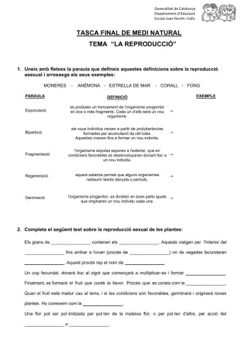 Tasca final de medi natural