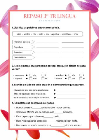 Repaso de Lingua 3º TR