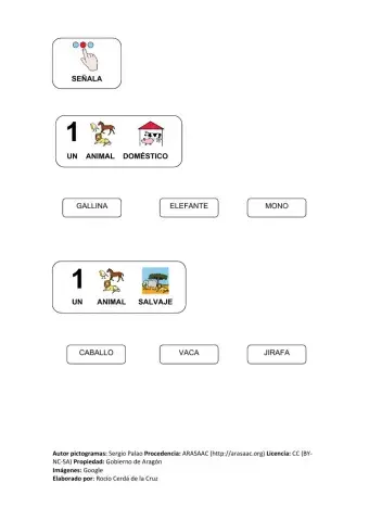 Animales domésticos y salvajes