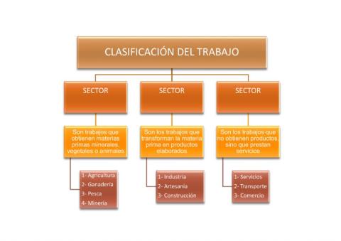 Sectores productivos