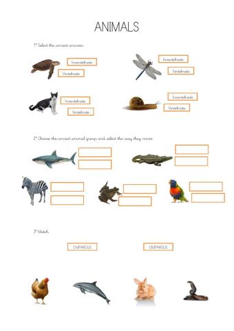 Animals. Science. 1º Primaria