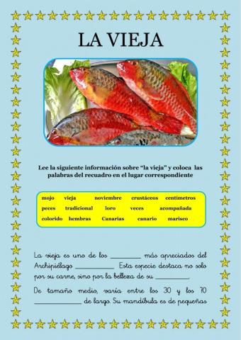 -La vieja, el pez más apreciado de Canarias-