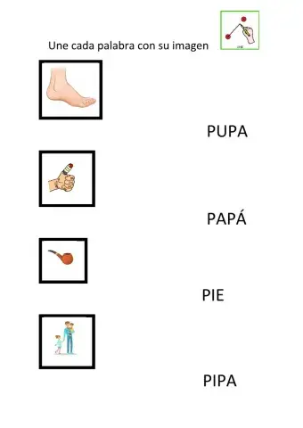 Lectura global letra p