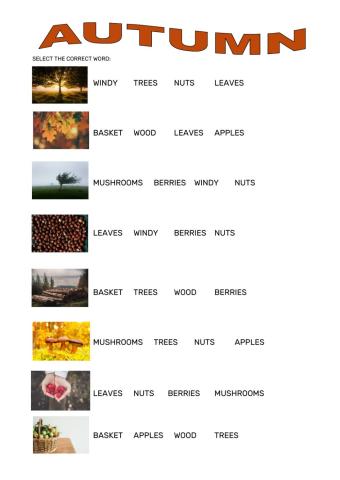 Vocabulary: autumn