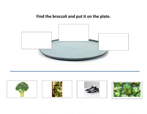 Select the broccoli