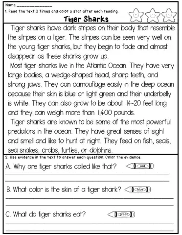 Tiger Sharks