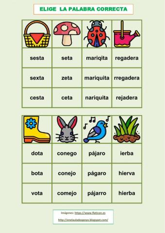 Elige la palabra correcta