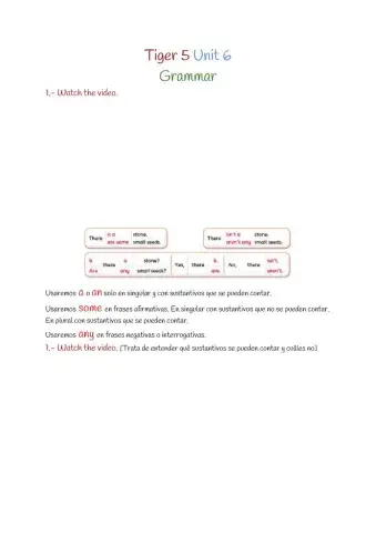 Tiger 5 Unit 6 Grammar 1