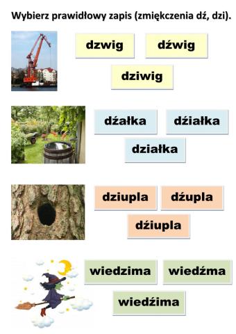 Zmiękczenia dź, dzi