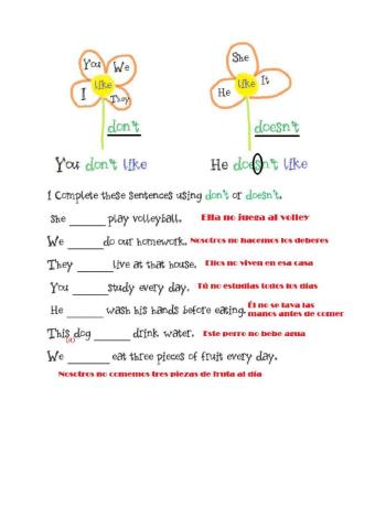 Present simple, negative