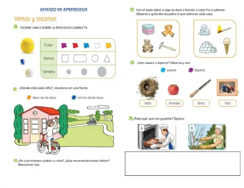Afianzamos nuestros aprendizajes: los sentidos