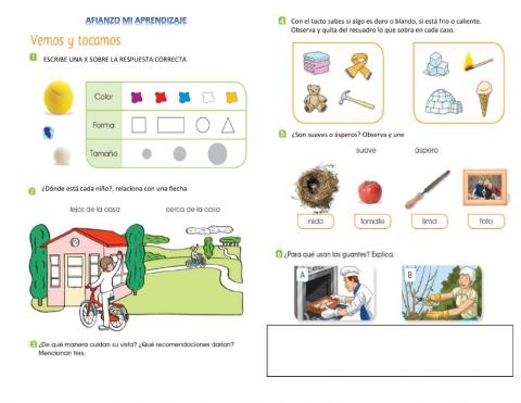 Afianzo mis conocmientos en los sentidos
