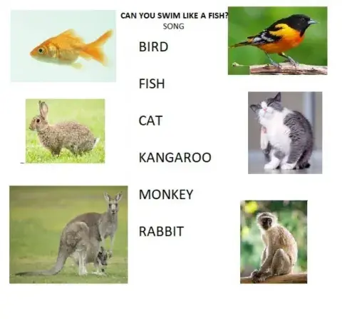 Animals vocabulary