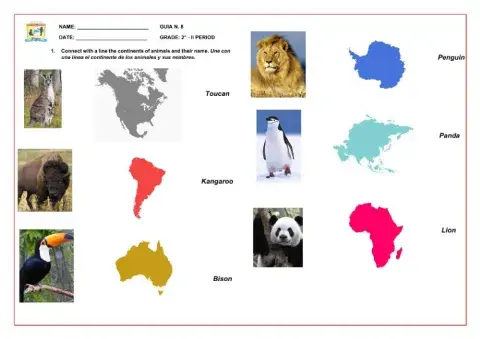 Wild Animals Activity