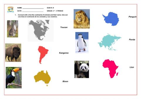 Wild Animals Activity