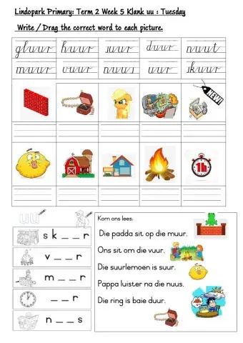 Grade 3 FAL:Afrikaans Term 2 week 5 uu-klank Tuesday