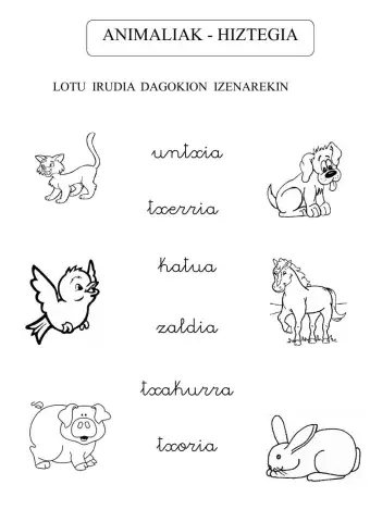Animaliak- hiztegia