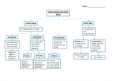 Unit 3 Food chains and food webs