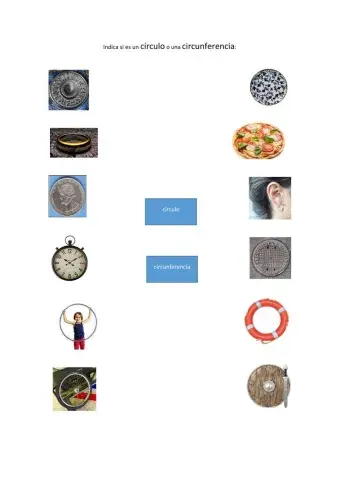 Círculo o circunferencia