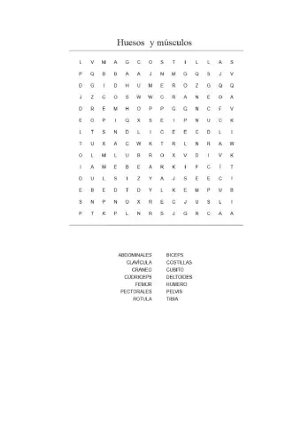 Huesos y músuculos