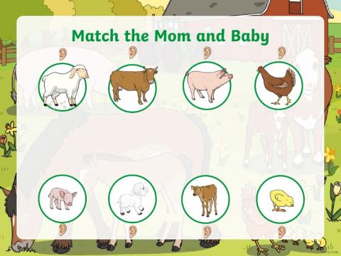 Baby and mum animals