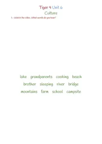 Tiger 4 Unit 6 Culture