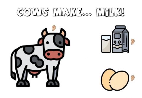 Cows make milk
