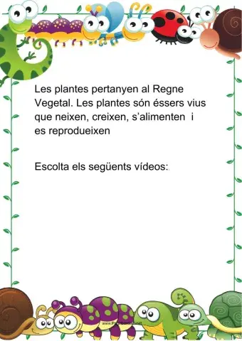 Introducció a les plantes