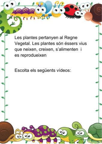 Introducció a les plantes