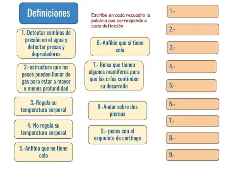 Definiciones vertebrados