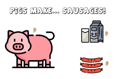 Pigs mage sausages