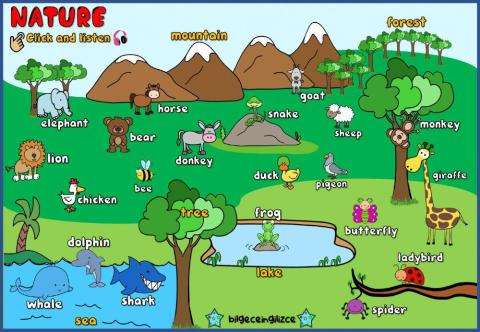 Nature  (Audio Dictionary)