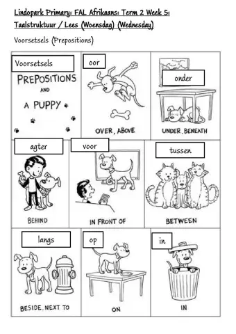 Grade 3 FAL:Afrikaans Term 2 Week 5 Wednesday: Voorsetsels: Prepositions