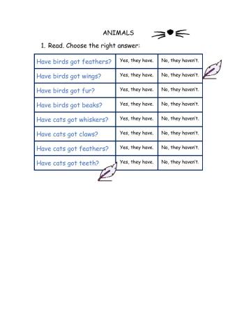 Feathers, wings, whiskers...