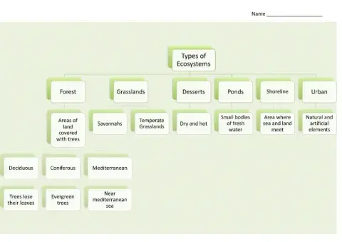 Unit 3 Types of Ecosystems Scheme