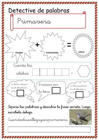 Detective de palabras