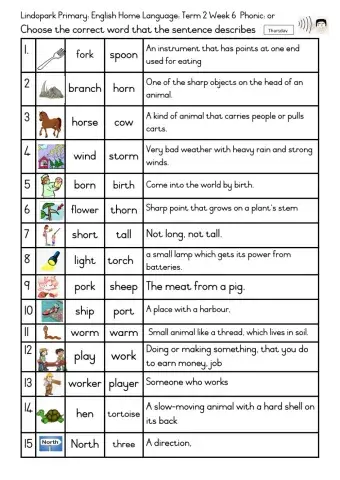 Grade 3 Englsihs HL Term 2 Week 6 Or phonic Thursday