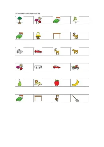 Encuentra el intruso