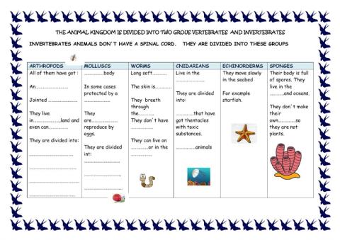 Invertebrate animals