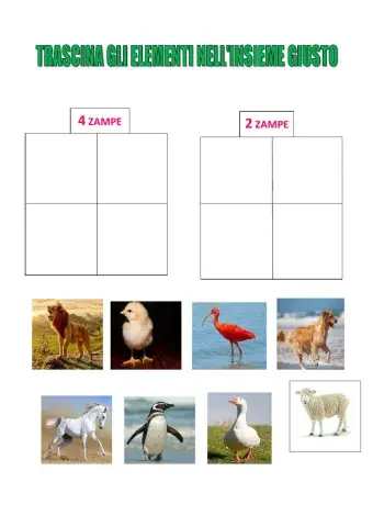 Animali a 2 zampe e a 4 zampe