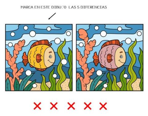 5 diferencias
