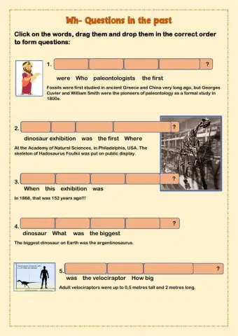 Wh Questions in the Past