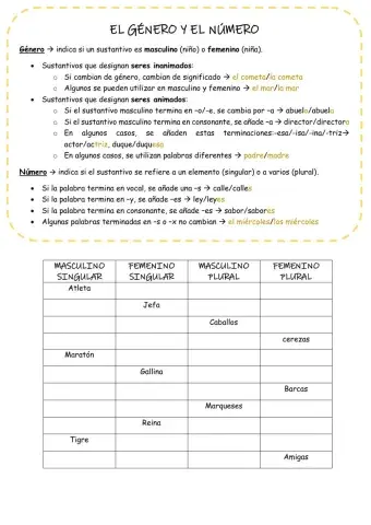 Género y número de los sustantivos