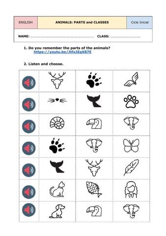 Animals: parts and classes