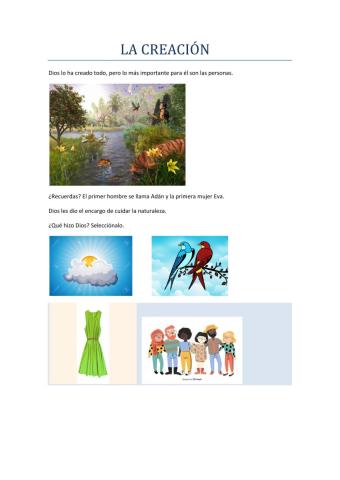 La creación