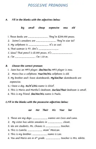 Possesive pronouns & Possesive 'S