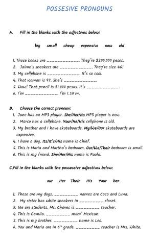 Possesive pronouns & Possesive 'S