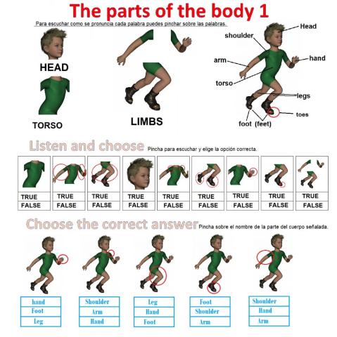 The parts of the body 1