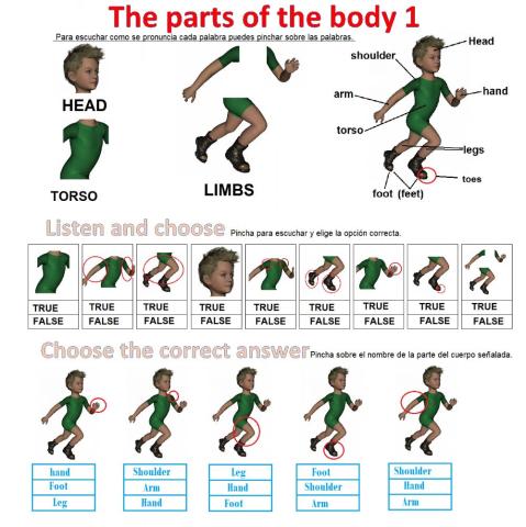 The parts of the body 1
